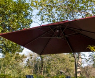 茶墅•晓荷茶吧