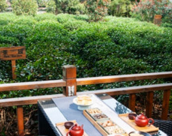 茶墅•香樟茶吧