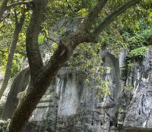 金聚堂影院式足道