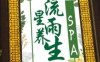 流星雨养生SPA